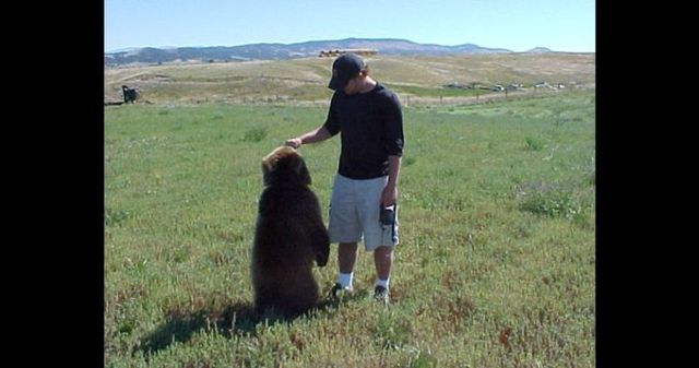 Having a 800-pound grizzly for a friend (23 pics)