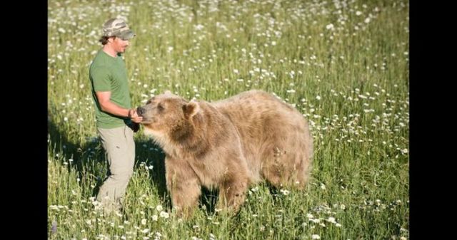 Having a 800-pound grizzly for a friend (23 pics)
