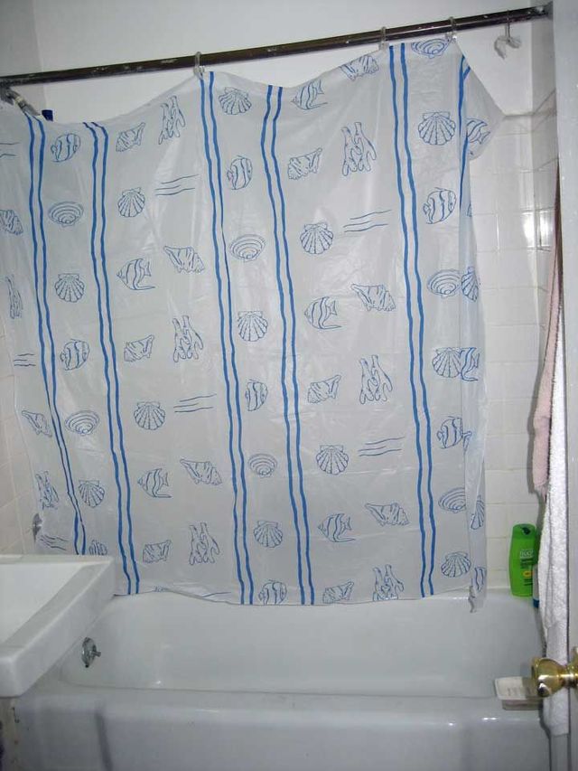 Shower curtain purchased for one dollar (3 pics)