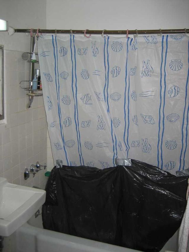Shower curtain purchased for one dollar (3 pics)