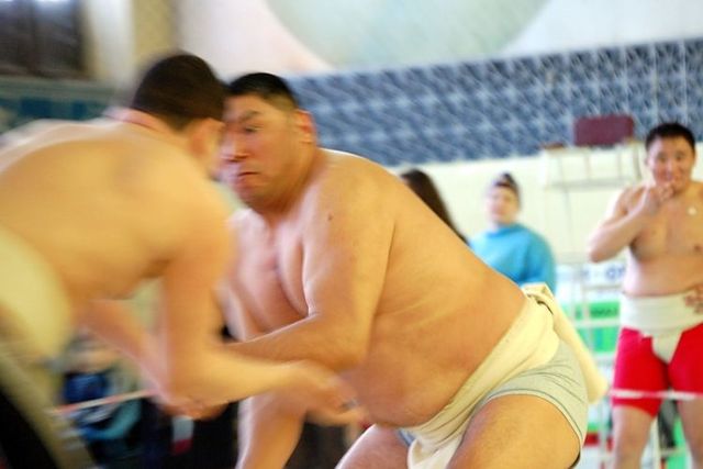 Russian sumo (28 pics)