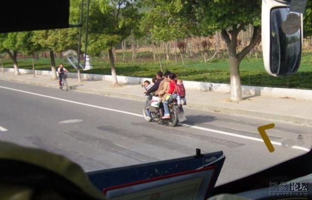 Transport for the whole family (8 pics)