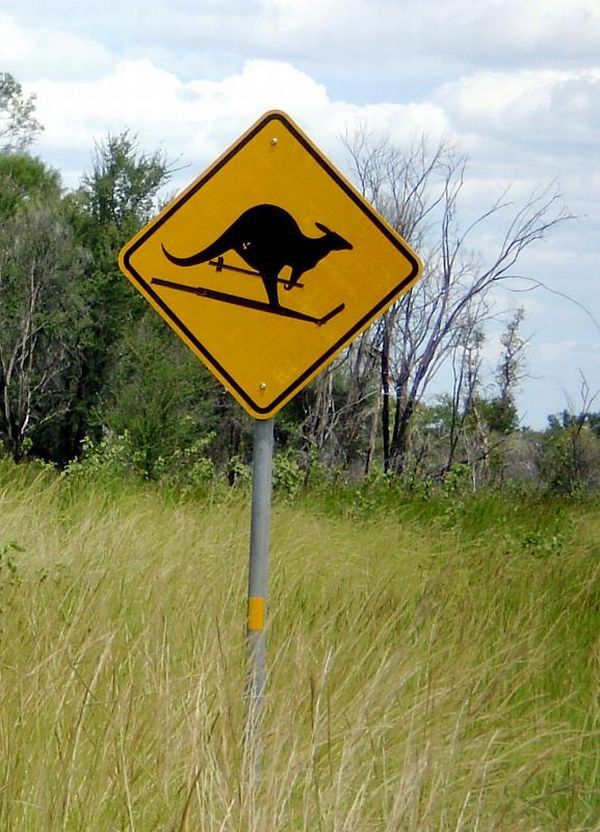 Various signs seen around the world (49 pics)