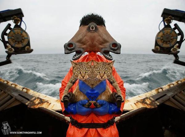 Mirrors! (29 pics)