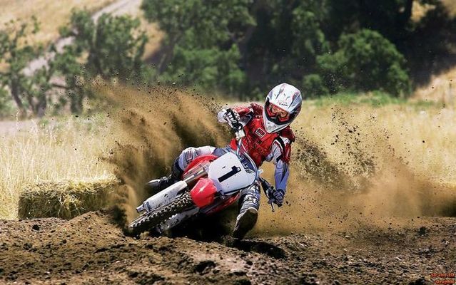 Great motocross shots (38 pics)