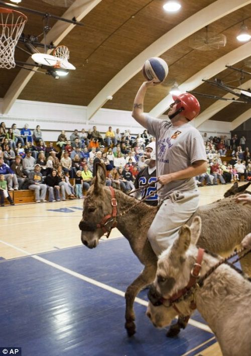 Donkey basketball (5 pics)