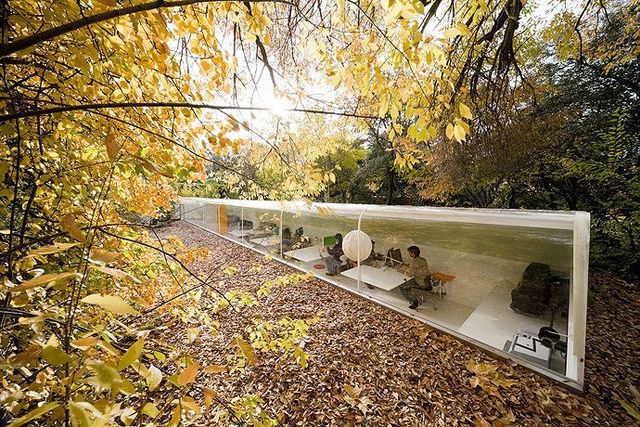 Office in the woods (16 pics)