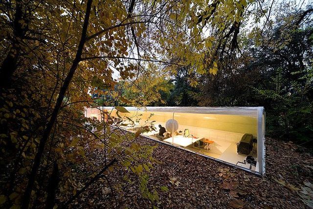Office in the woods (16 pics)
