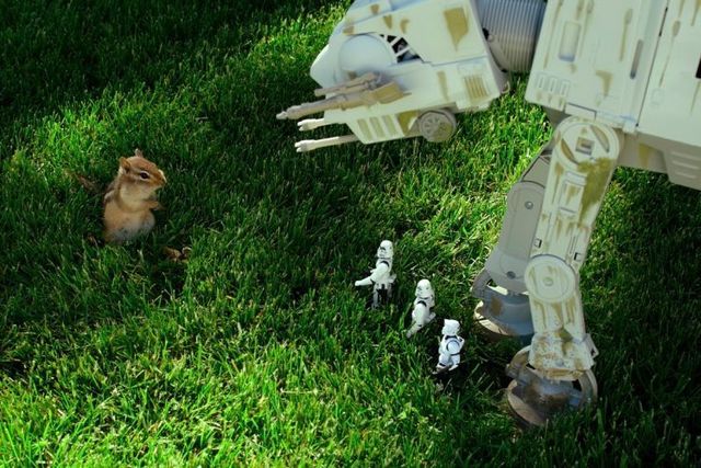 Star Wars spills into the chipmunk universe! (7 pics)