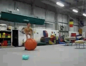 Great acrobatic trick (1 gif)