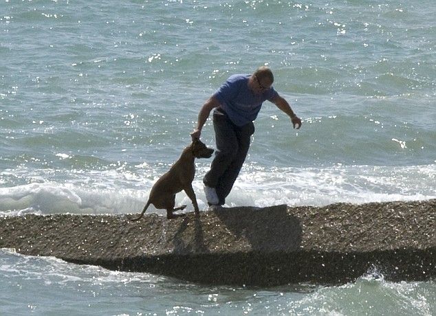 Shocking pictures of men mistreating his dogs (7 pics)