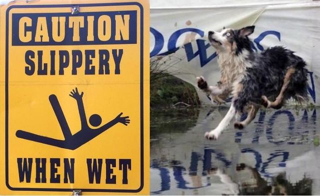 Haha )) What do warning signs really warn about? (14 pics)