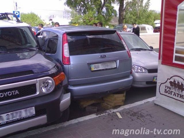 Another master of parking (7 pics)