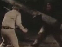 Six million dollar man fights a Sasquatch. Look at the special effects! (10.2 Mb)