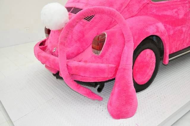 Ridiculous pink mouse shaped car (5 pics)