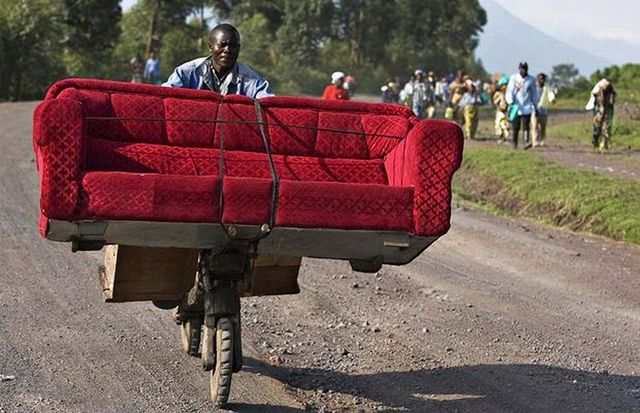 “Exotic” ways to move people, furniture and pets (38 pics)