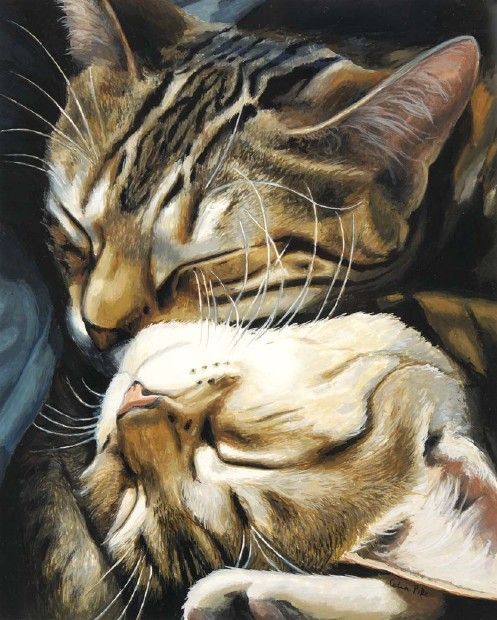 Great cat paintings by Celia Pike (20 pics)