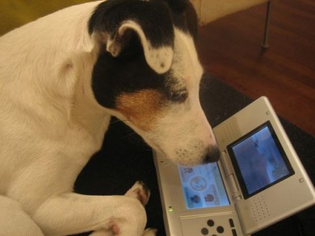 People play on game consoles everywhere (32 pics)
