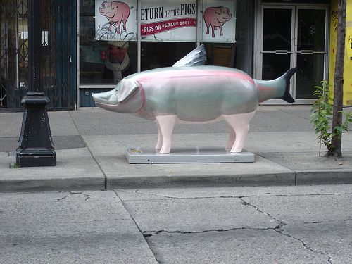 Pigs’ invasion (69 pics)