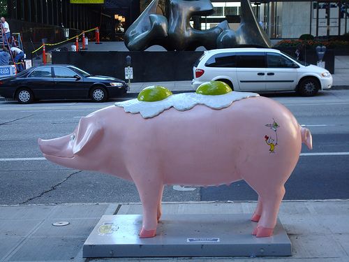 Pigs’ invasion (69 pics)