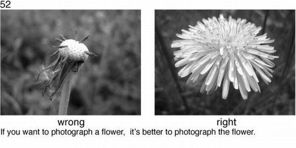Learn to take pictures correctly (78 examples)