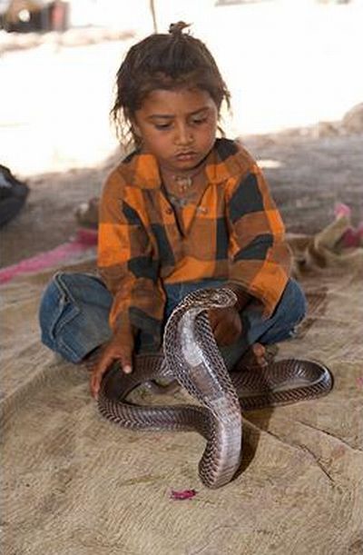 Very small snake charmers (15 pics)