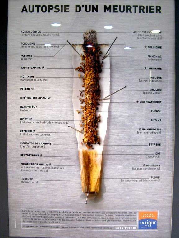 Worldwide anti-tobacco advertisement (32 pics)