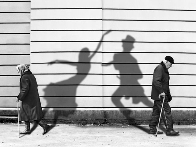 Living shadows (31 pics)