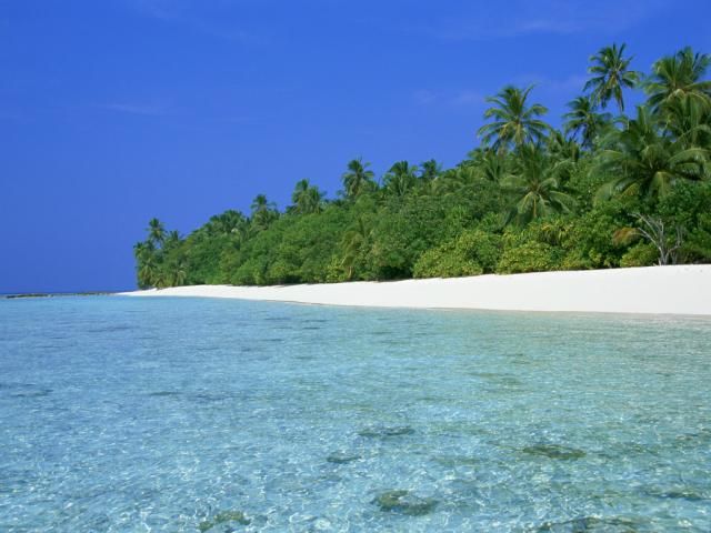 Beaches in the Maldives (40 pics)