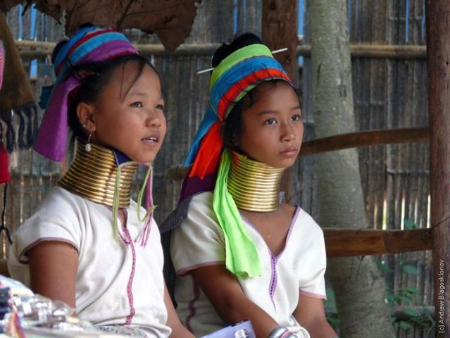 Padaung. Long-neck women (35 pics)