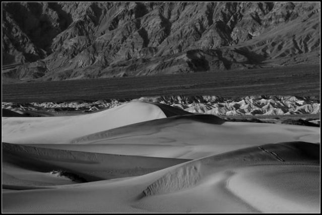 The beauty of the desert (42 pics)
