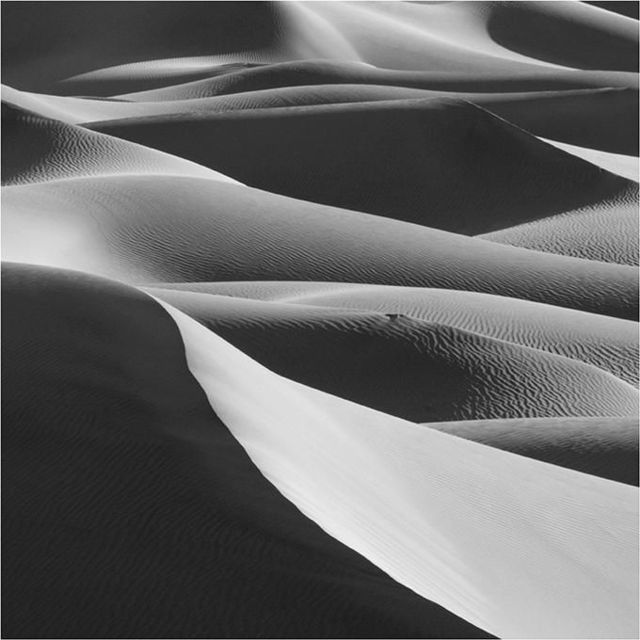 The beauty of the desert (42 pics) - Izismile.com