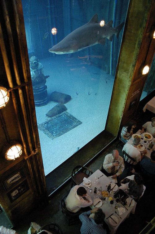 Some huge and beautiful aquariums from different corners of the world (44 pics)