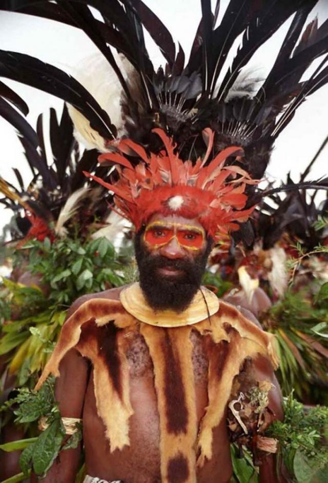 Современные папуасы. Папуасы новой гвинеи. Как выглядит папуас. Папуасы гвинеи. Папуасы новой гвинеи.