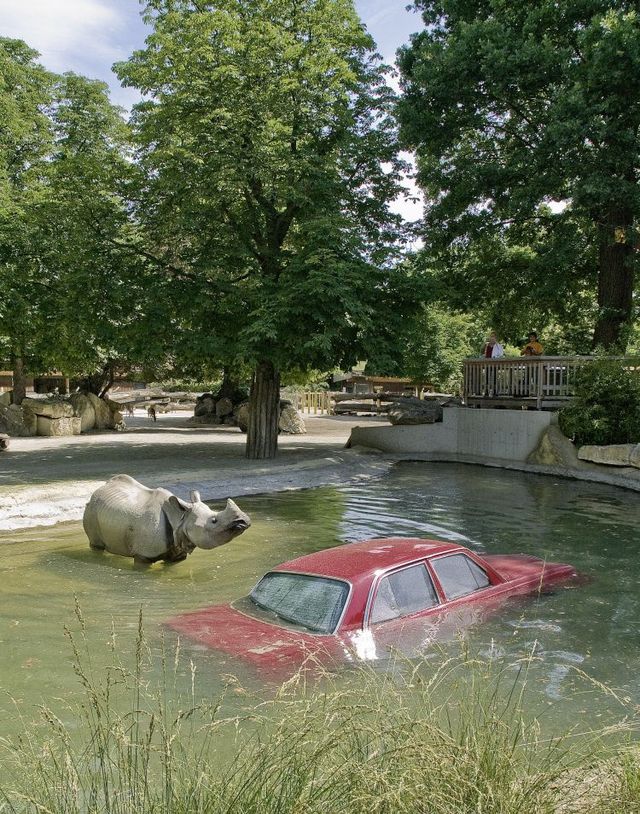 Natural dangers. Зоопарк в Вене самый старый.