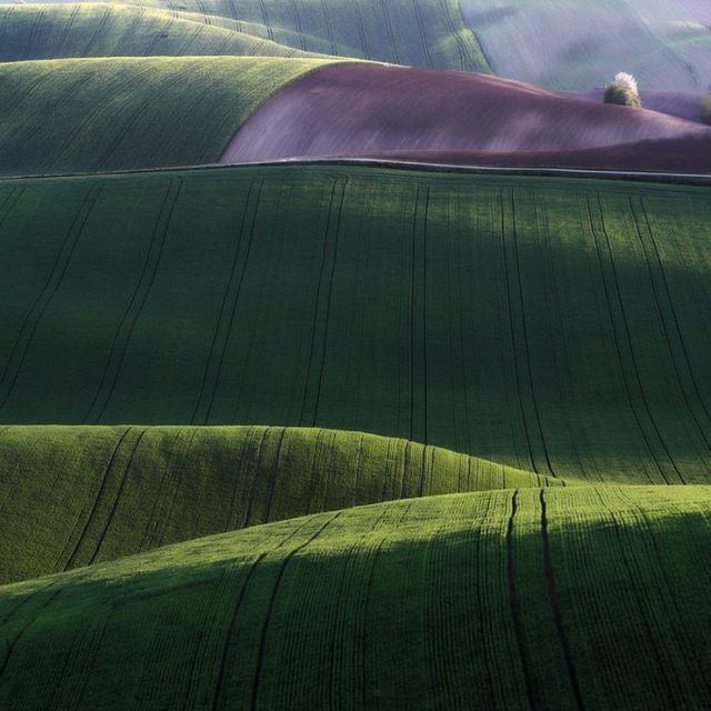 Fabulous landscapes by photographer Marcin Sacha (14 photos) 