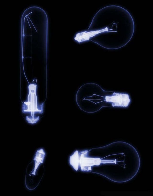 Life through X-ray beams. Part 2 (38 pics)