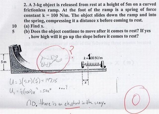 Funny exam (30 pics)