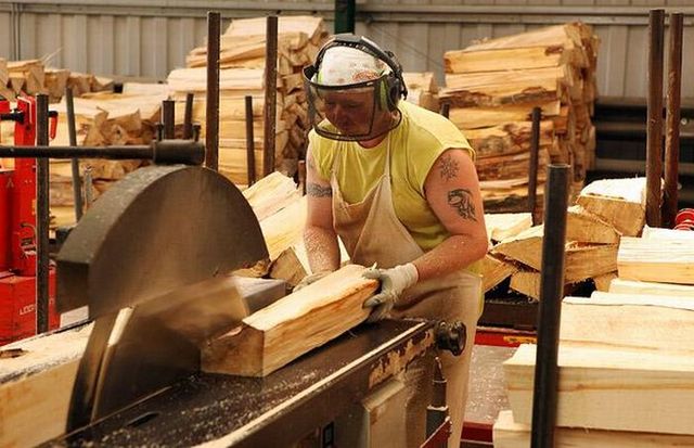 How cricket bats are carved from willow wood? (19 pics)