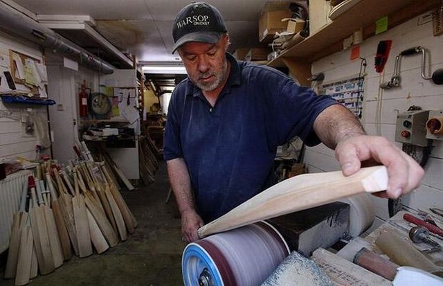 How cricket bats are carved from willow wood? (19 pics)