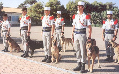 1st Company of the 2nd Foreign Parachute Regiment in France (20 pics ...