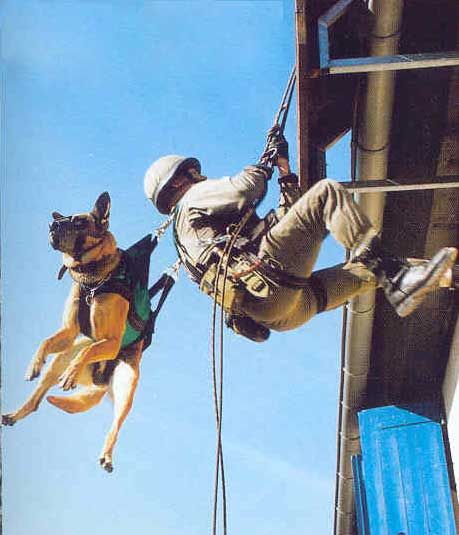 1st Company of the 2nd Foreign Parachute Regiment in France (20 pics ...