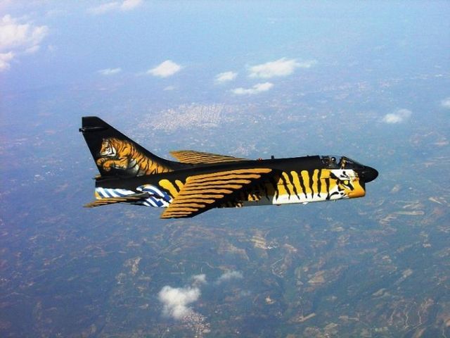 Art on aircrafts (22 pics)