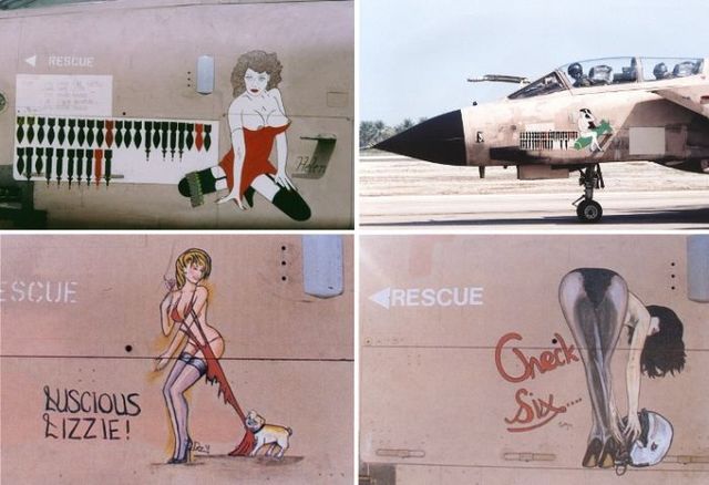 Art on aircrafts (22 pics)