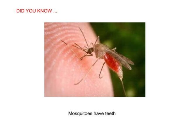 Did you know? (24 pics)
