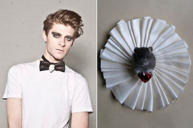 Freaky taxidermy jewelry – How about a dead rat in your bowtie?