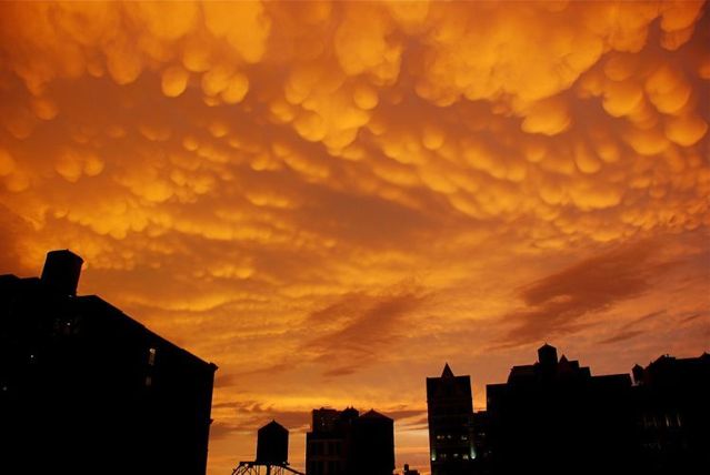 Great natural phenomenon over the New York sky (17 pics)