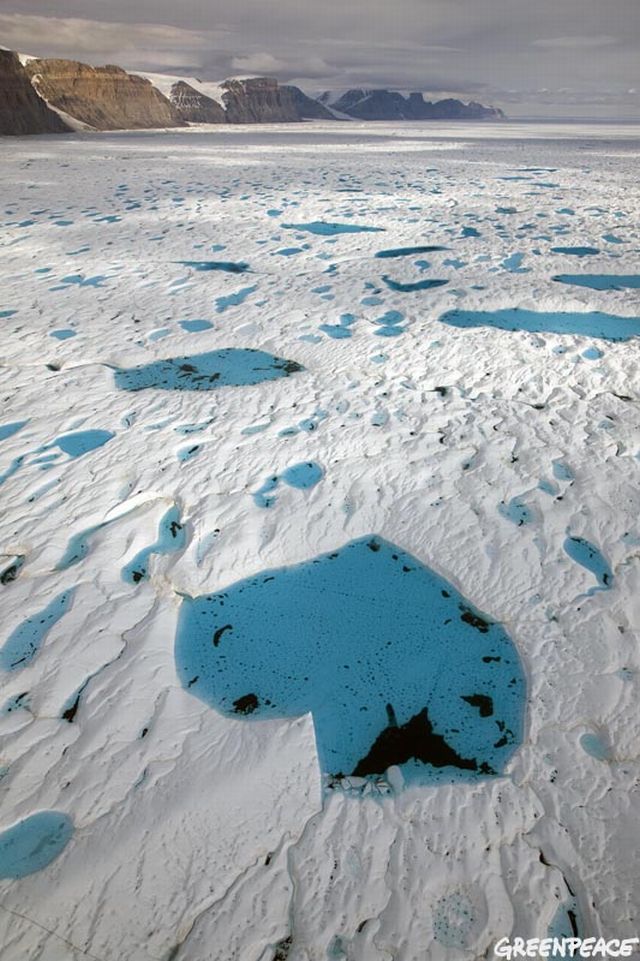 The magnificent Petermann glacier (26 pics)