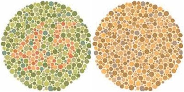 The colors through the eyes a color blind person (12 pics)