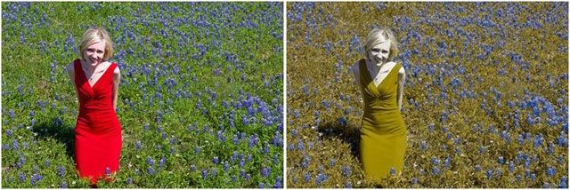 the-colors-through-the-eyes-a-color-blind-person-12-pics-izismile